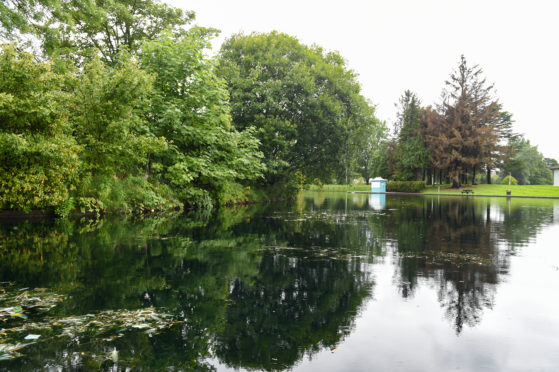 Cooper park in Elgin where Algae is reported to be present.