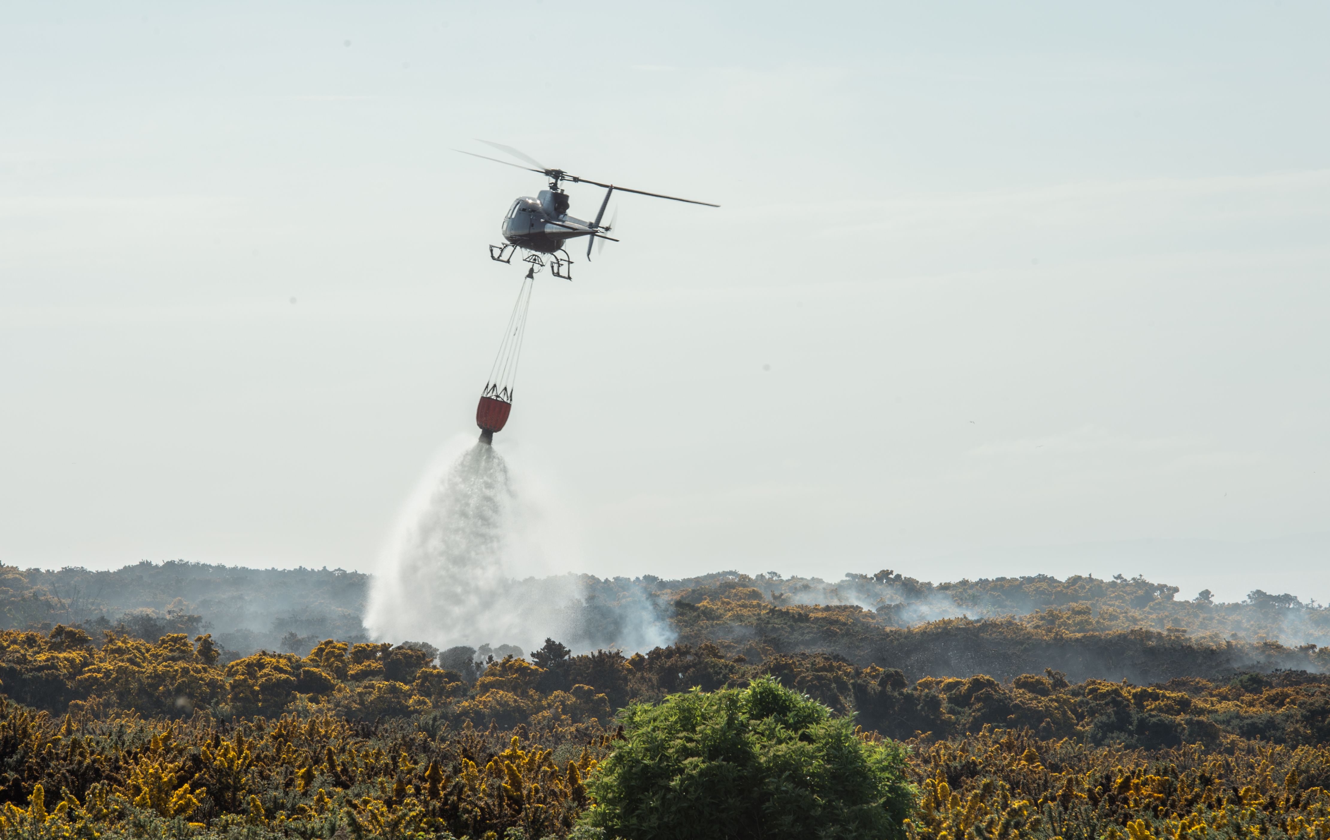 Helicopters were used to douse flames between Lossiemouth and Hopeman. Picture by Jason Hedges.