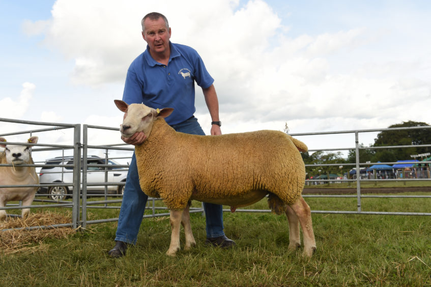 Gary Duncan from E and E Duncan with the Charollais Sheep Reserve TUP Lamb and full brother to the Gimmer.