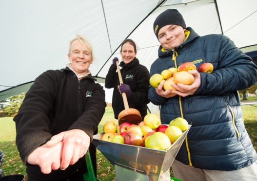 Charity Reap already runs events to encourage people to grow their own food. Pictured: Manager Ann Davidson, board member Rachel Turner and volunteer Harvey McCool.