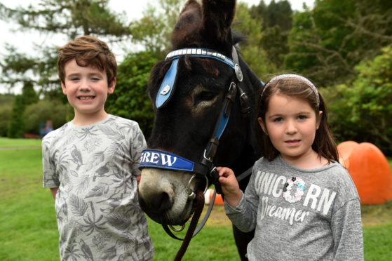 (L-R) Harrison Seivwright, 7, and Ellie MacLechlan, 6.

Picture by Kenny Elrick