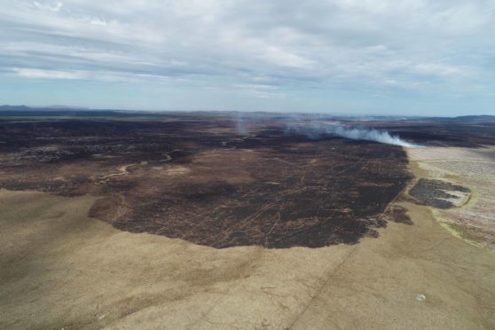 Peatland wildfire damage near Strathy. Credit Paul Turner.