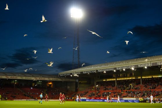 Gulls regularly descend onto the pitch during matches at Pittodrie.