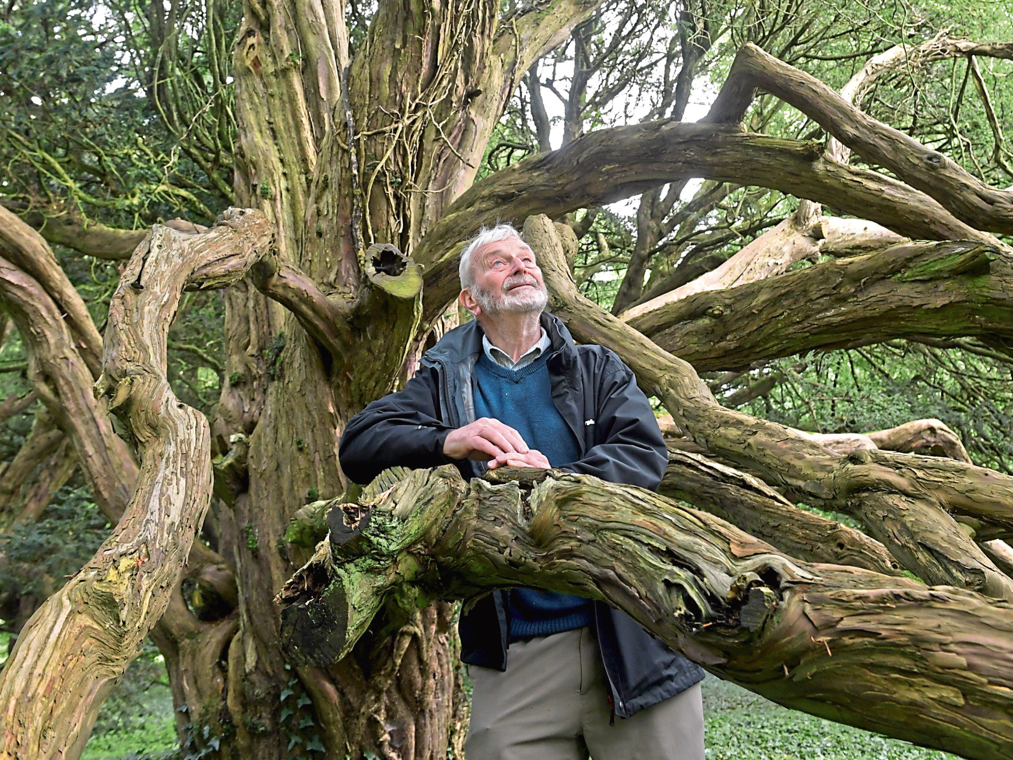 Alan Cameron is a volunteer at  Ellon castle and gardens. 
Picture by KATH FLANNERY