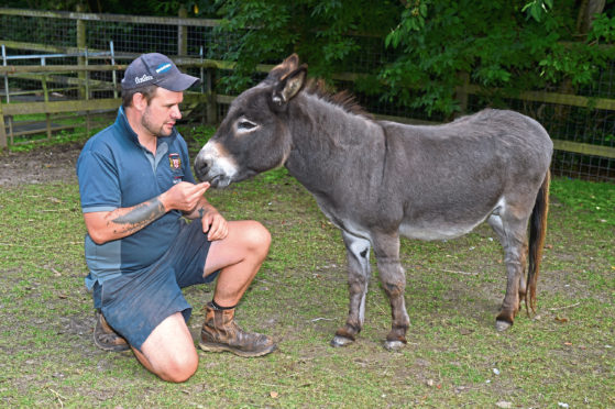 Keeper Jamie Rennie at Pets Corner in Hazlehead Park. Picture by Kenny Elrick