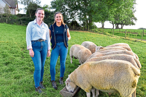 SISTERS EILIDH (l) AND ERIN DUNCAN WITH SOME OF THEIR CHAROLLAIS FLOCK  DESTINED FOR THAINSTONE.