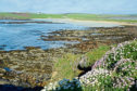 Looking back over to Dingieshowe from the cliff