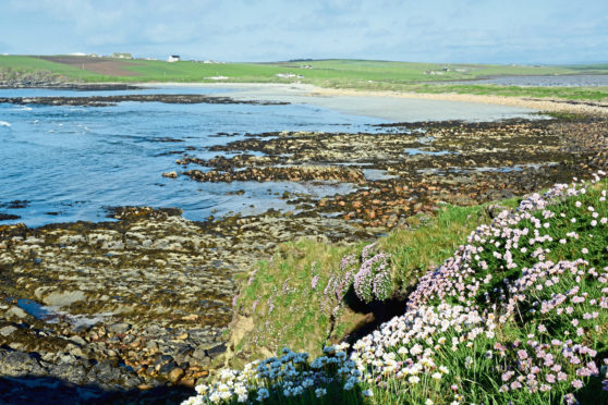 Looking back over to Dingieshowe from the cliff