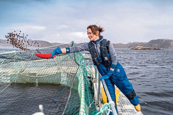 Hand feeding at Loch Duart, the respected salmon farming company which is committed to investing in its local community