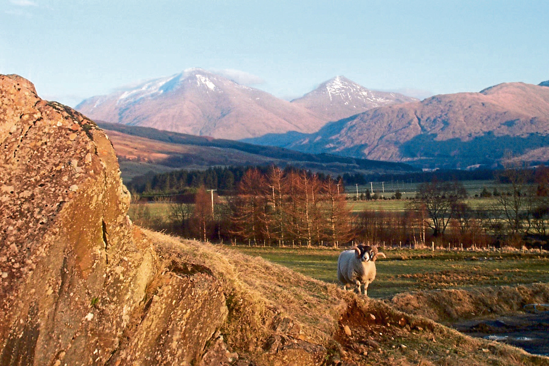 The SRUC Kirkton and Auchtertyre research farms
