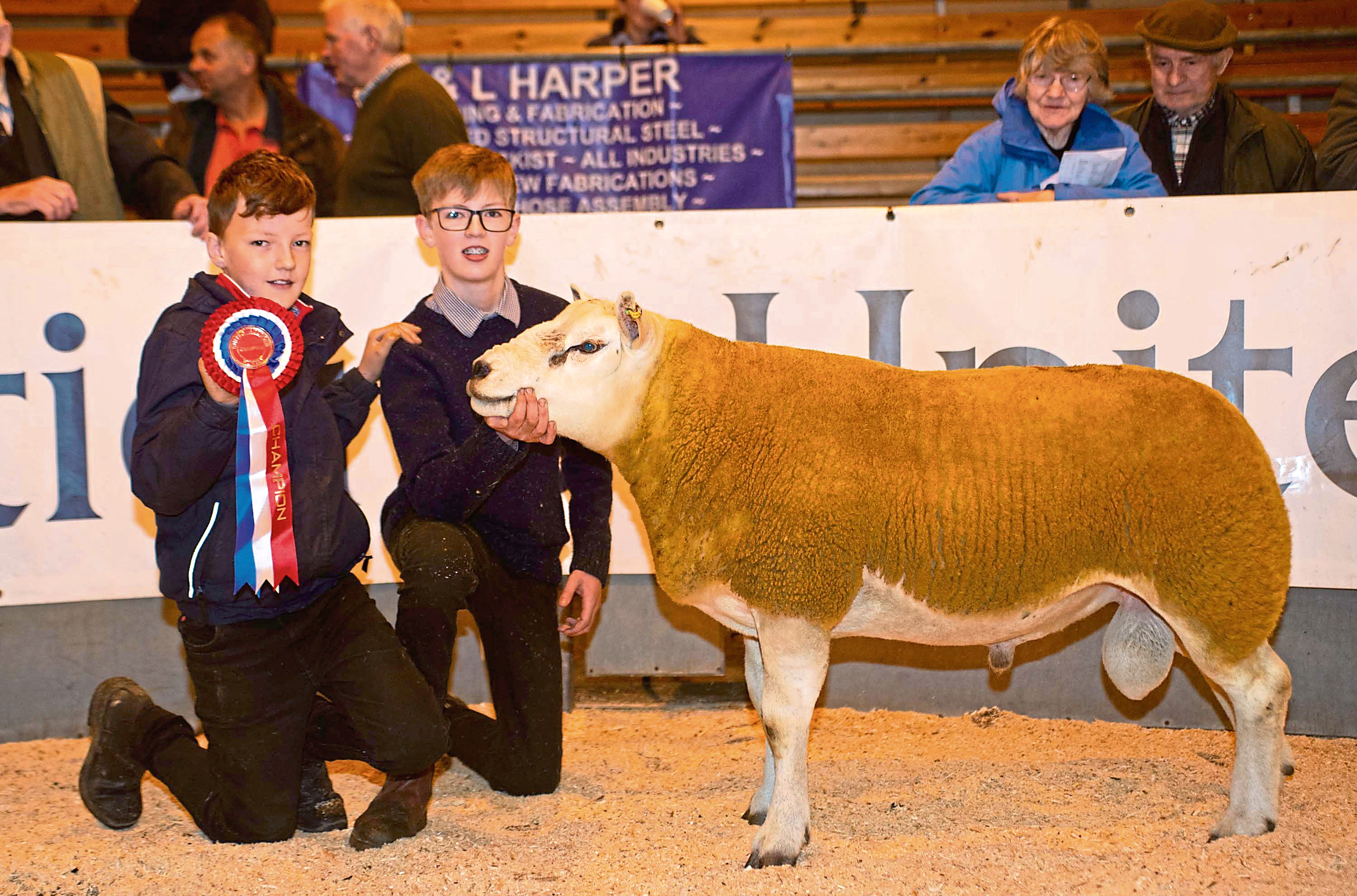 Harvey Stuart, 13, (right) with his brother 
Jack Stuart, 10, (left) and the winning ram, a Texel shearling.