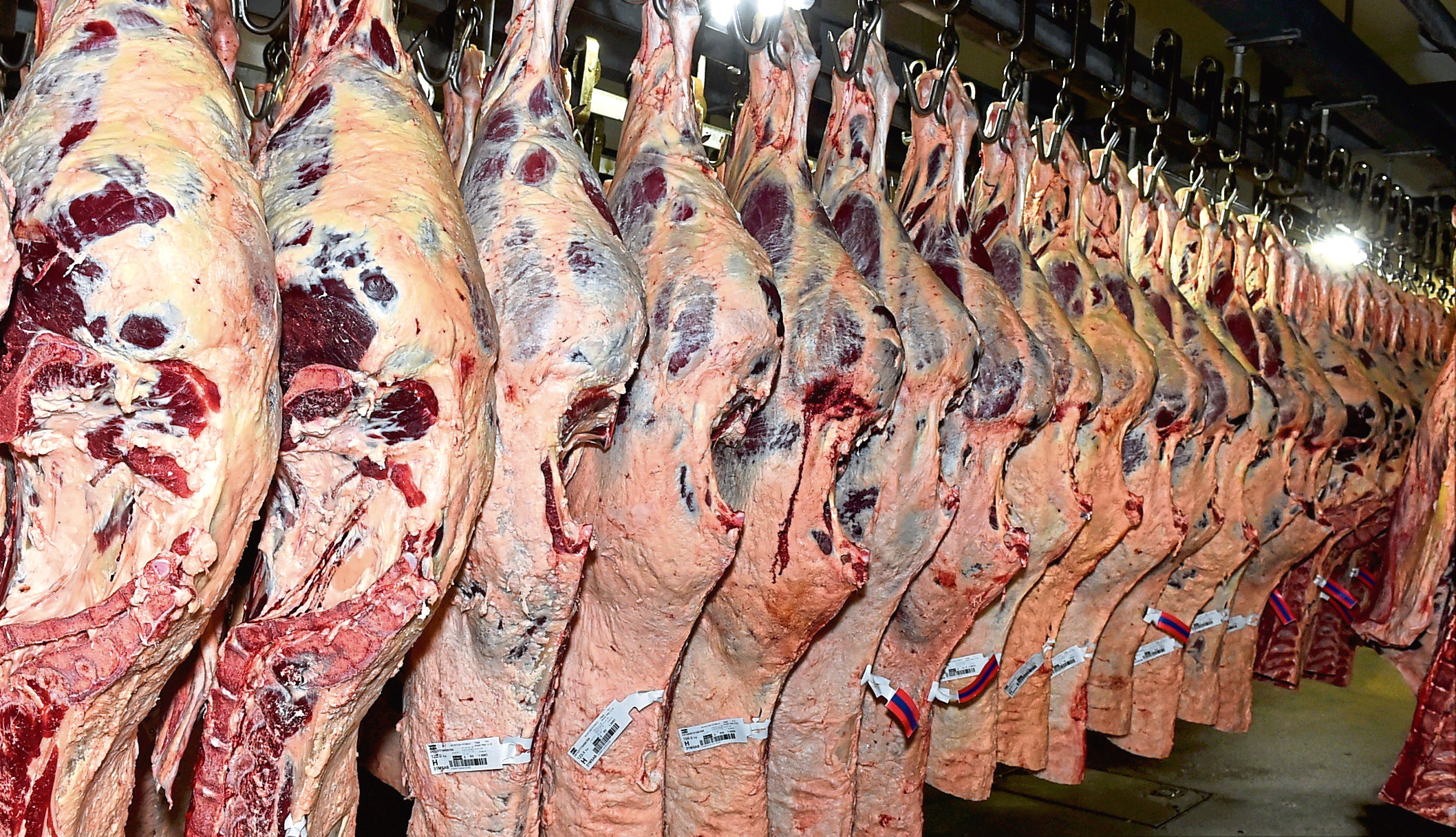 The report warns of increased administrative costs for exporting red meat to Europe in the event of a no-deal Brexit.