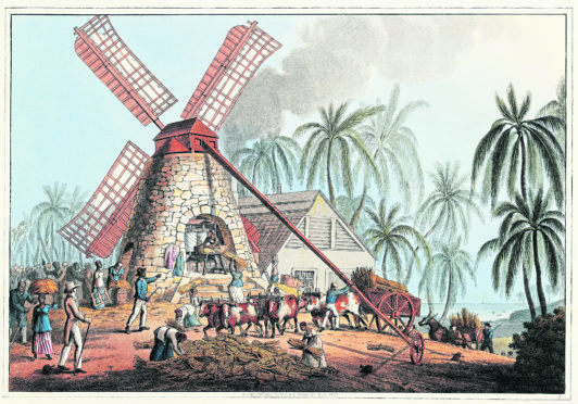 Antilles islands, 19th century. Slaves at work in a mill for the extraction of cane sugar.