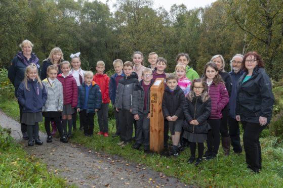 Pupils from Elrick Primary School enjoying the discovery trail.