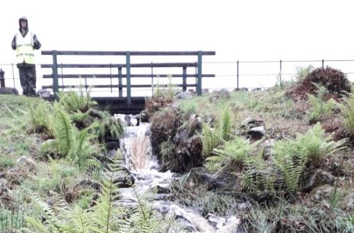 Image shows the spillway that will be excavated and lined with interlocking concrete blocks to prevent erosion, before the spillway is then reinstated to it's original appearance.