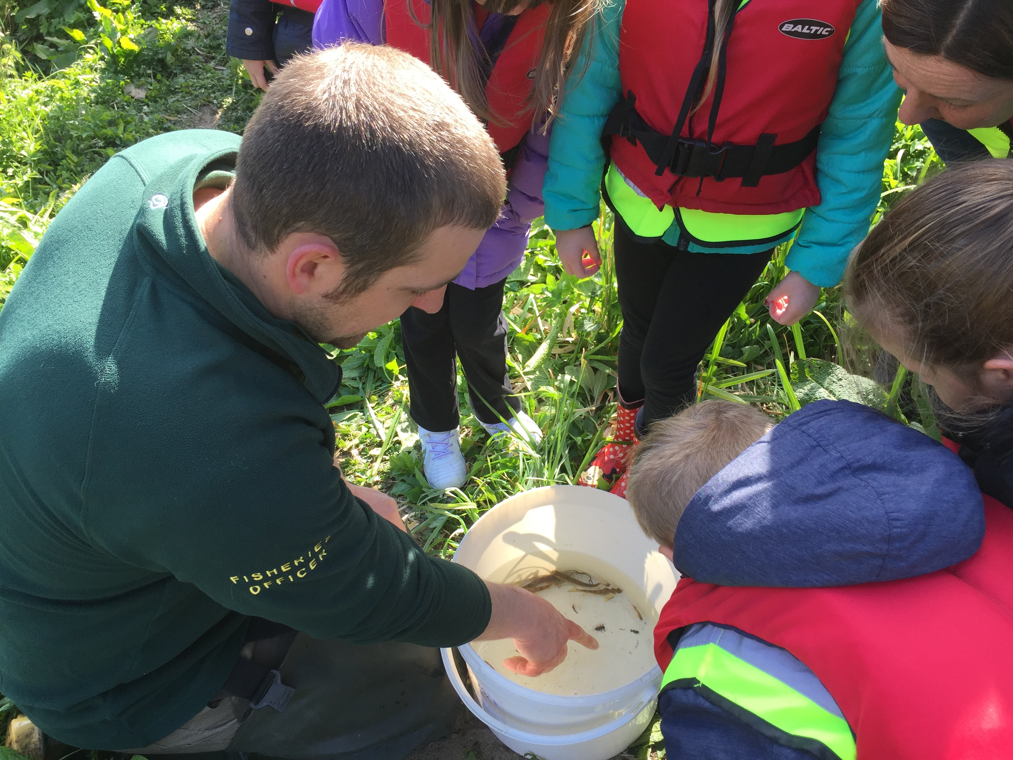 A fisheries officer for the River Dee Trust helps youngsters get up close and personal with some of the animals that live in the river.