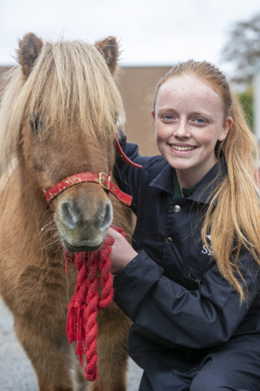 Nicola McIntosh with one of the ponies.