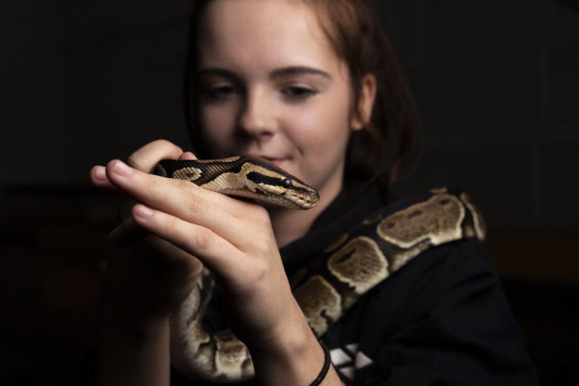 Student Steph Sim with Molly the snake.