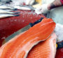 Salmon fillets on sale at a fish market.