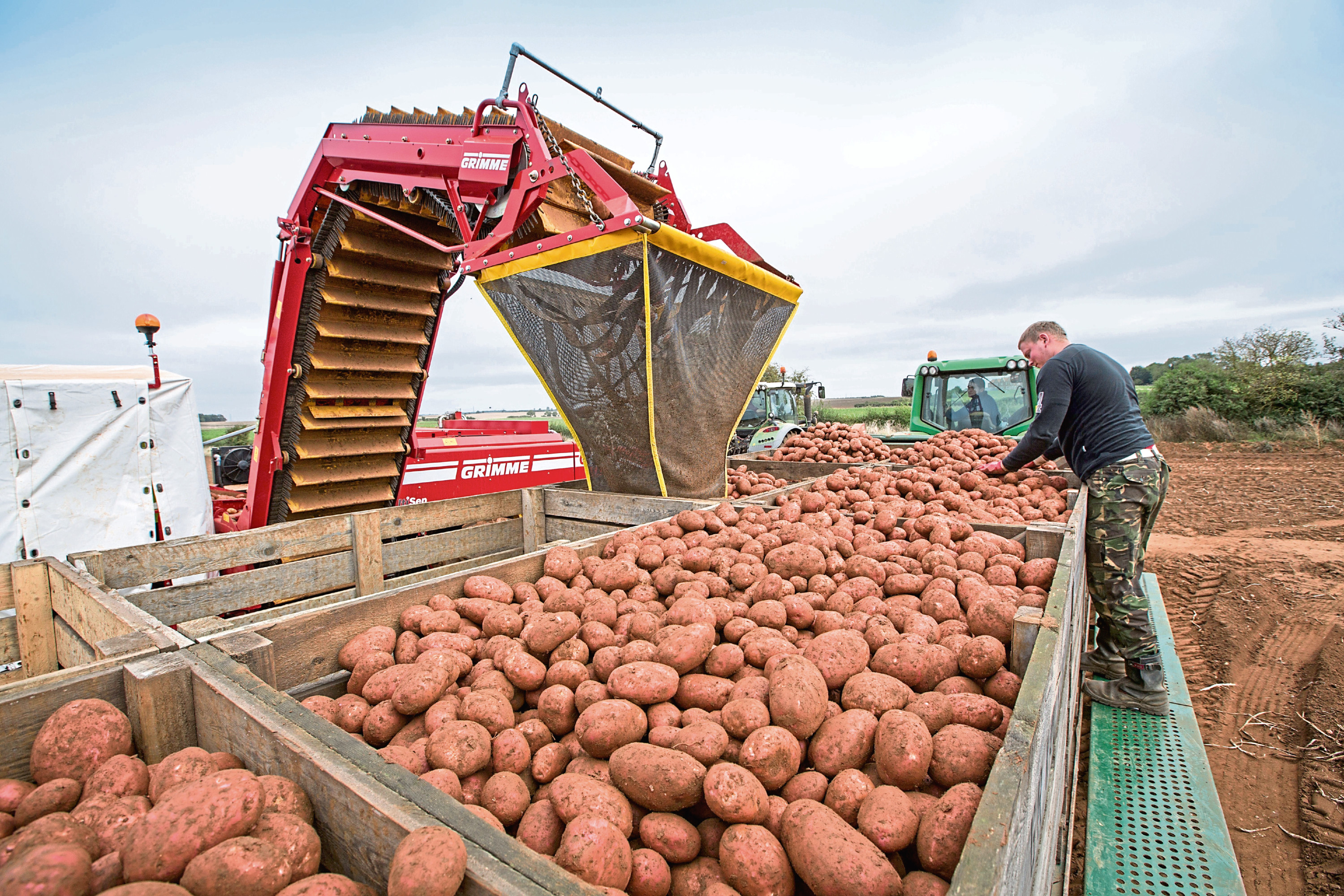 The compost could help potato growers deal with PCN.