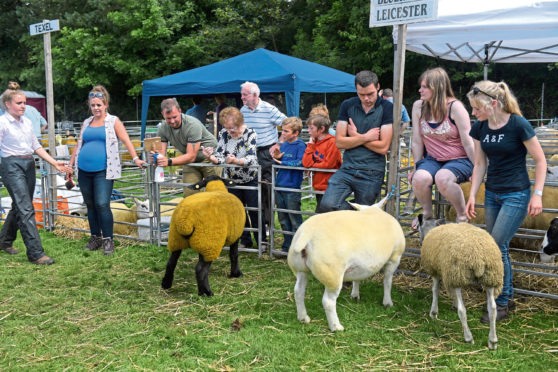 The Banchory Show. 
Picture by Kath Flannery