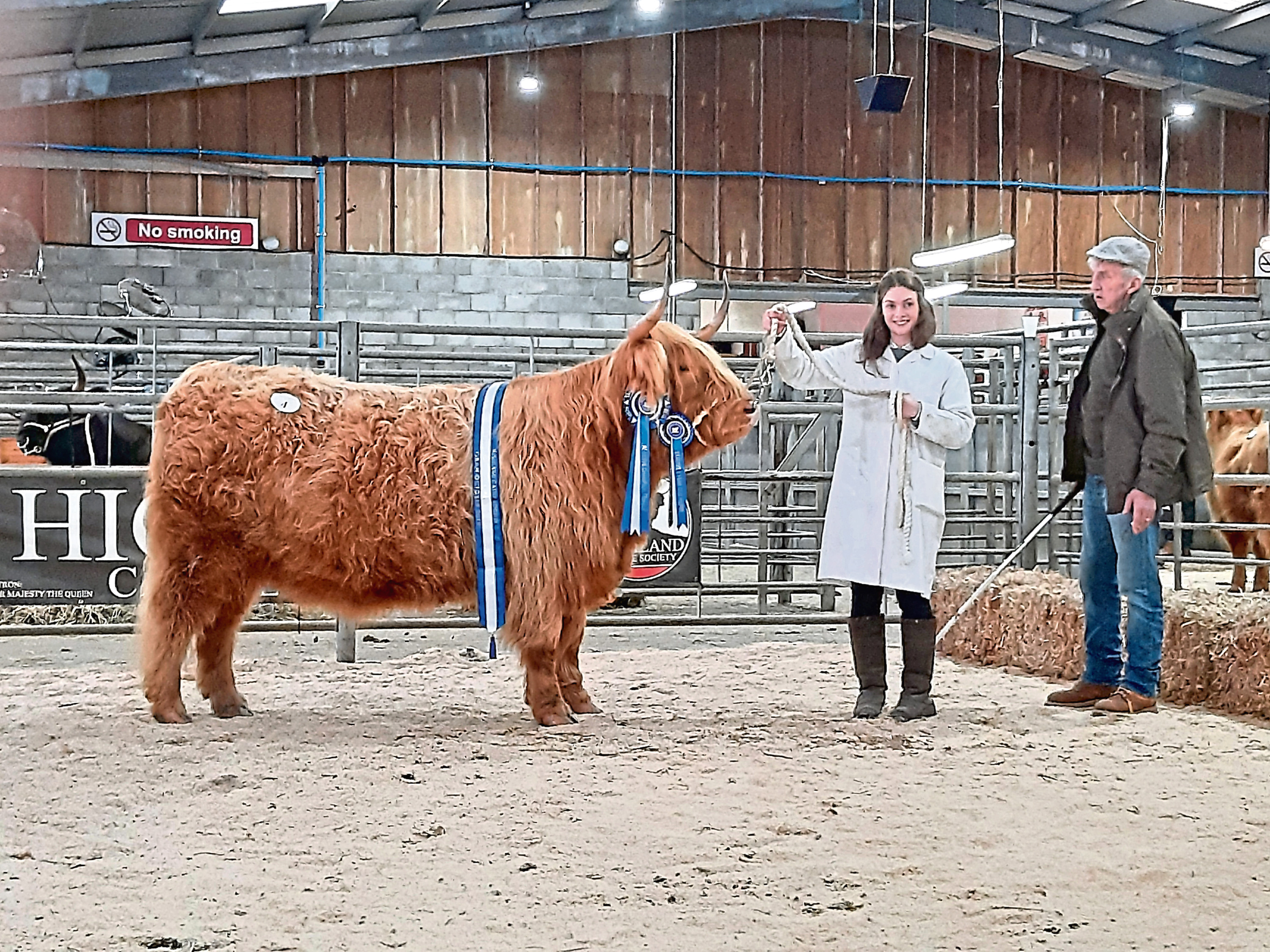 The top priced Highland female at Oban made 8,000gn. She was   Anna of Eilean Mor from Karen and Michael Macgregor, shown here by Jade Brown.