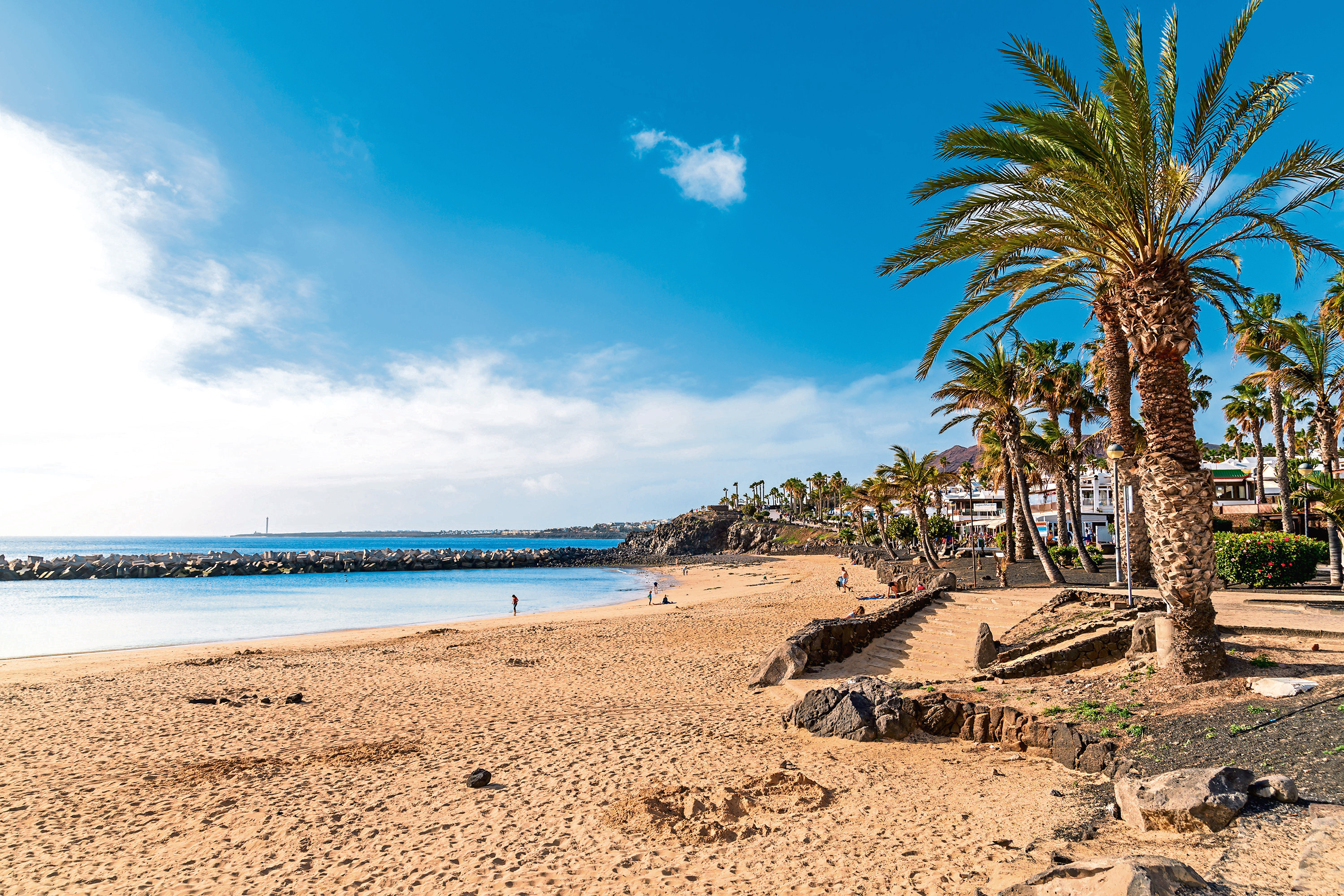 Flamingo beach with palm trees in Playa Blanca holiday village on coast of Lanzarote island, Spain