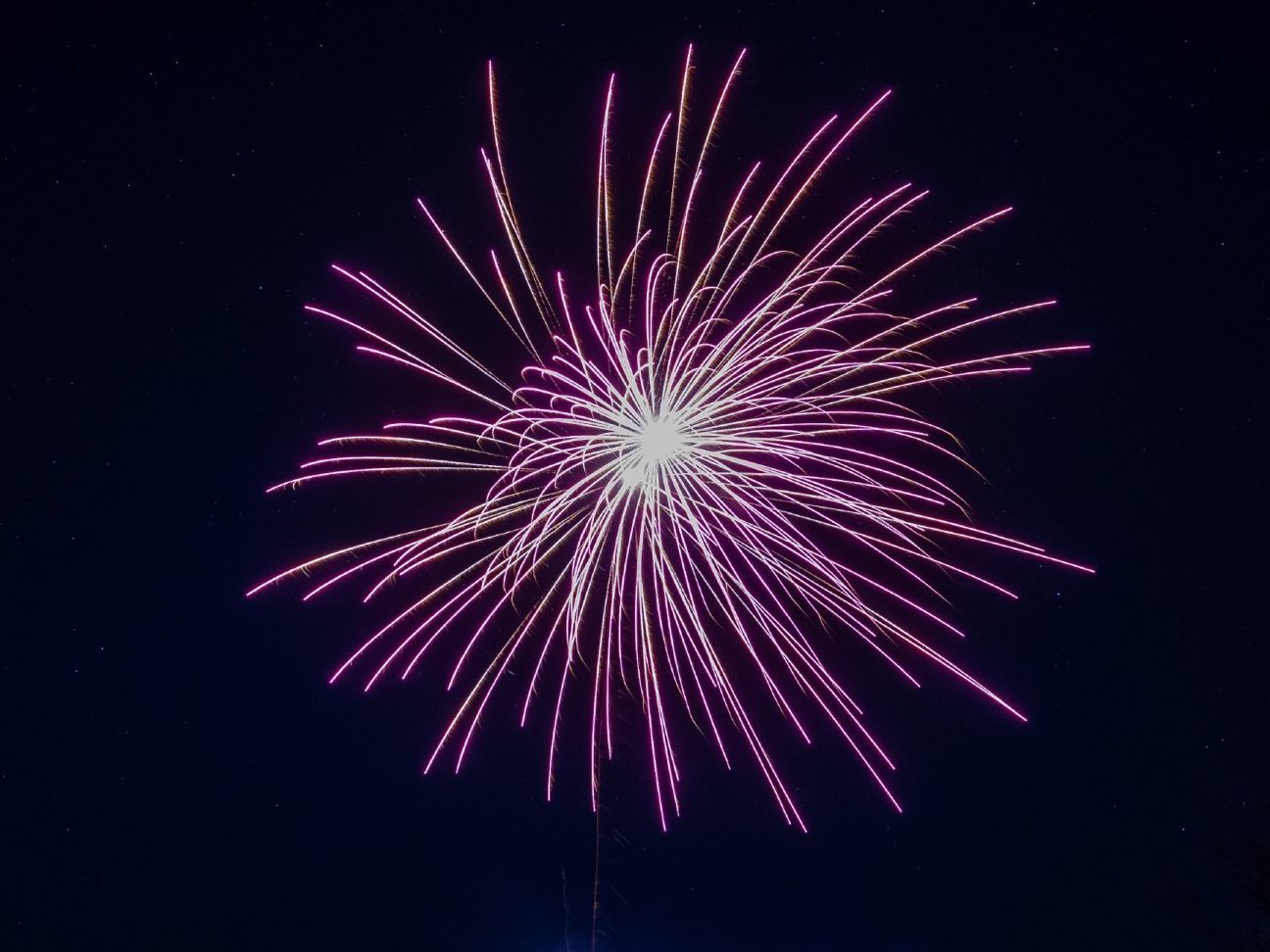 Portgordon Fireworks