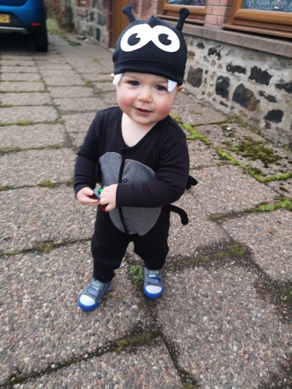 Harvey Bradley dressed up as a spider for his first nursery Halloween party