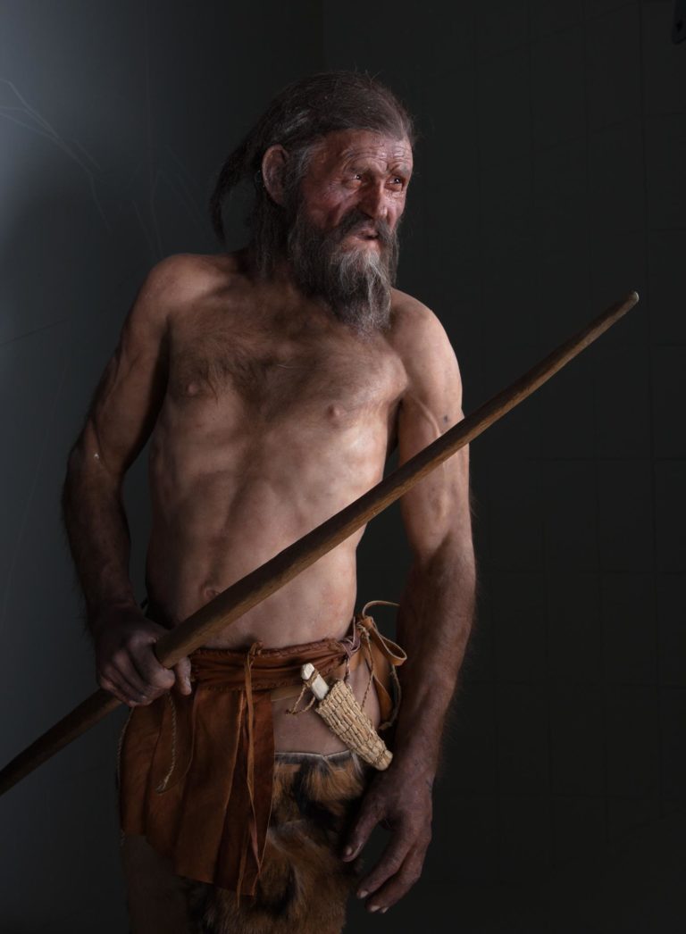 Glasgow University research highlights moss hysteria for Iceman Otzi