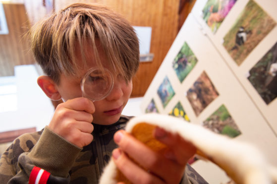 Euan Stables from Keith, inspects animal skins.
Pictures by JASON HEDGES