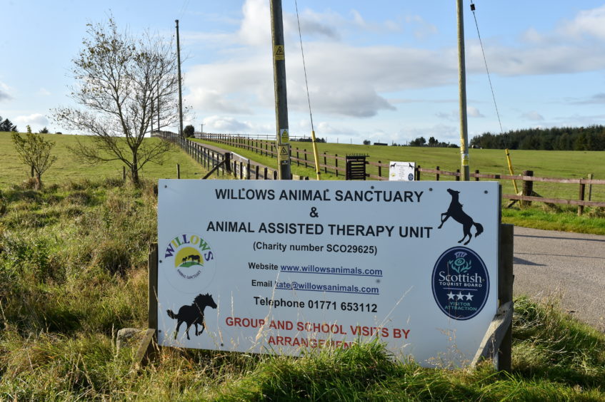 A horse at Willow Sanctuary has been injured.