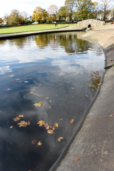 The stream at Westburn Park, that a fuel-like substance has polluted the water.