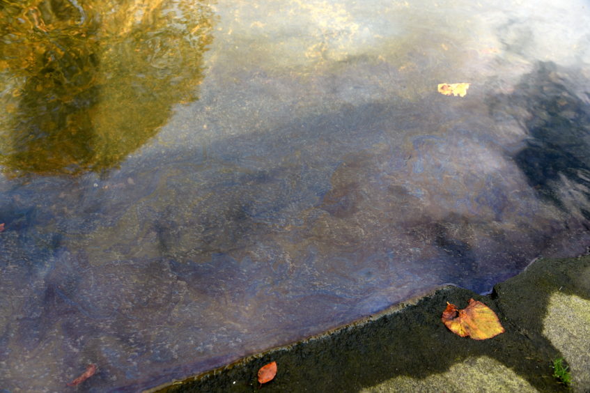 The stream at Westburn Park, that a fuel-like substance has polluted the water.