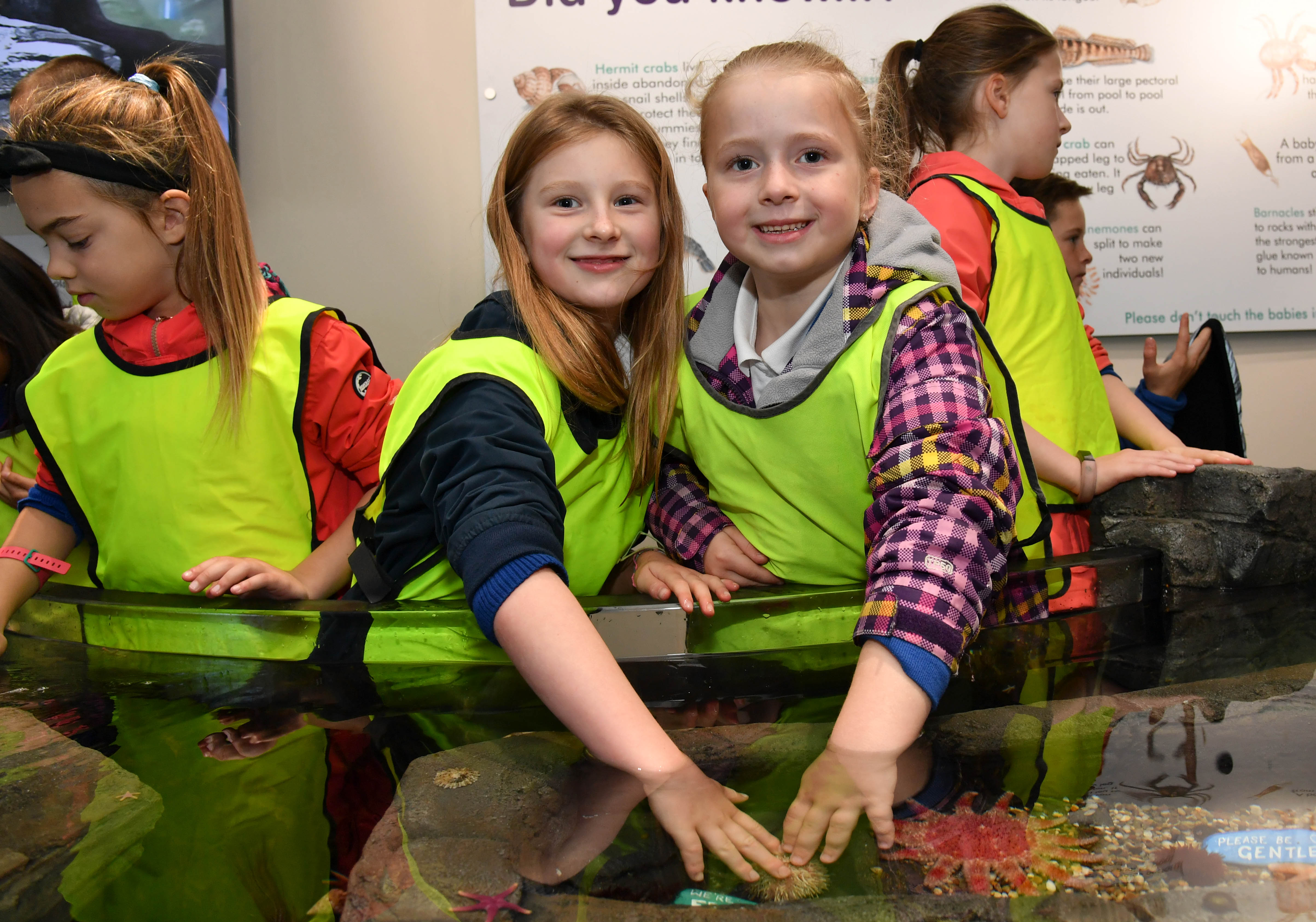 MACDUFF PRIMARY PUPILS GRACIE GIBB (L) AND SOPHIE INGRAM TRY OUT THE  NEW TOUCHING POOLS AT MACDUFF AQUARIUM