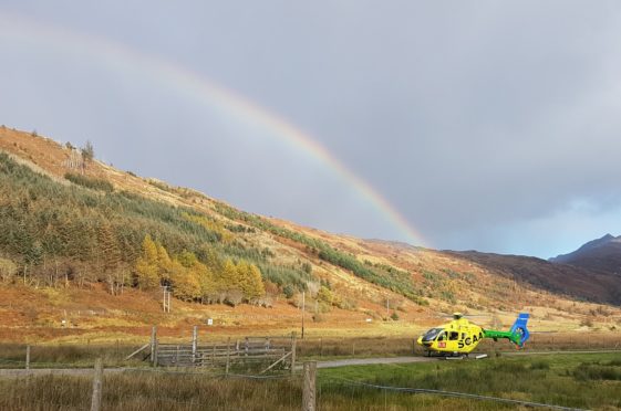 A tree surgeon was rescued after falling from a tree on the Ardnamurchan peninsula
