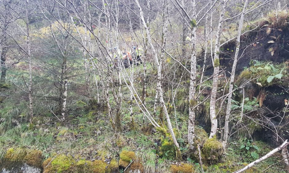 A tree surgeon was rescued after falling from a tree on the Ardnamurchan peninsula