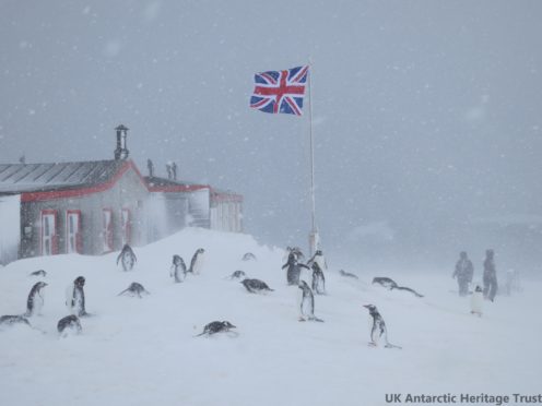 The remote island is home to thousands of penguins