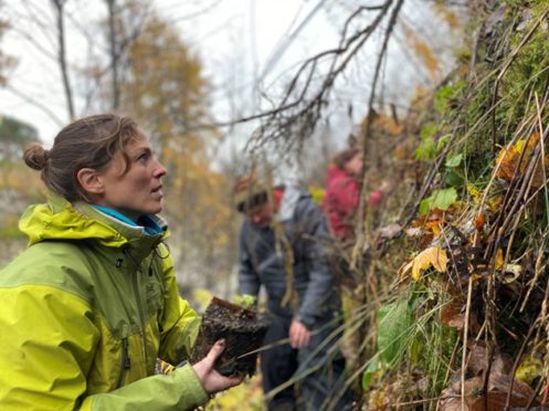 RBGE Conservation Scientist Dr Aline Finger planting alpine blue-sowthistle at Braemar