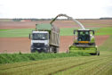 Chris McCullough Alfalfa feature   Handouts  Fourth cut alfalfa being harvested in France. PICTURE: Chris McCullough