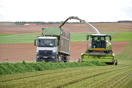 Chris McCullough Alfalfa feature   Handouts  Fourth cut alfalfa being harvested in France. PICTURE: Chris McCullough