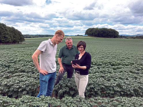 From left, Kenneth Waring, Jim Wilson and Seonaid Ross of SoilEssentials, which has worked to test Tuberzone