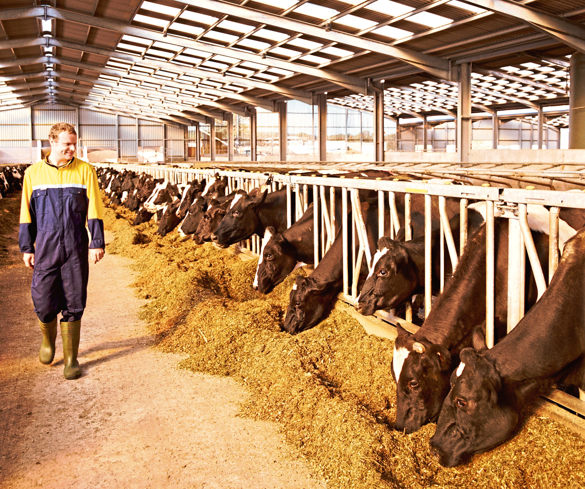 The database has been launched by EU dairy farmers' co-operative Arla.