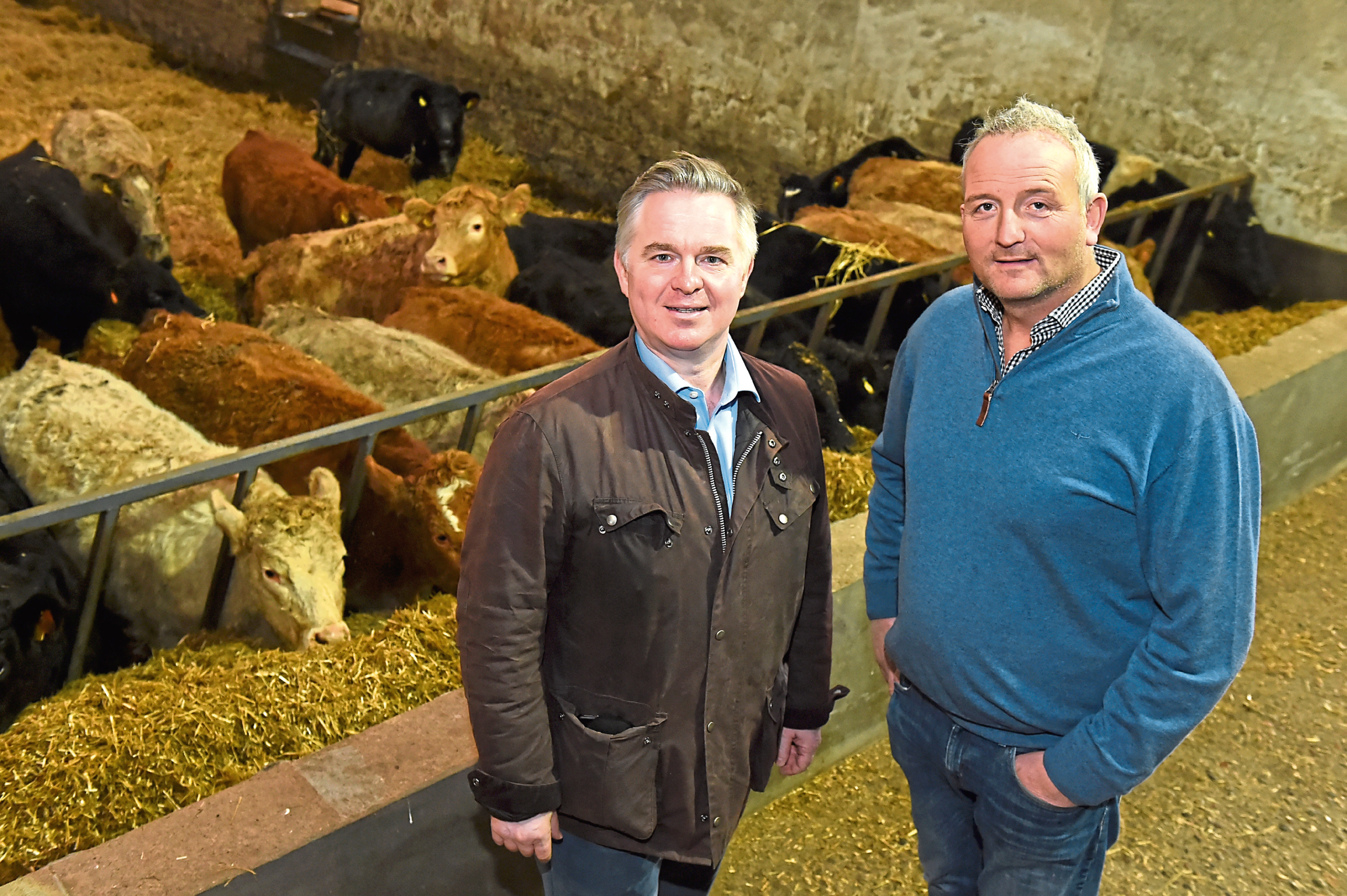 Scotland Minister Colin Clark visited Netherthird Farm, Rothienorman
Picture of (L-R) Colin Clark and farmer Stuart Stephen.

Picture by KENNY ELRICK
