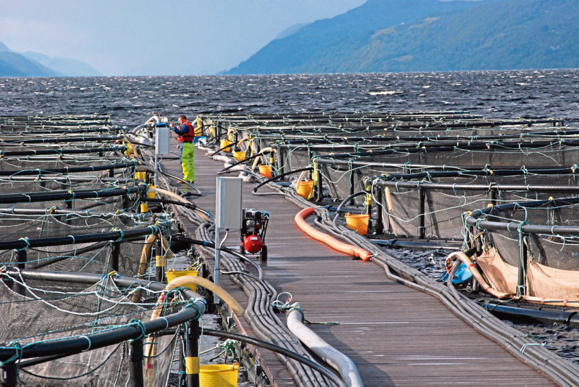 Scotland s Aquaculture Industry Braced For 10million Boost