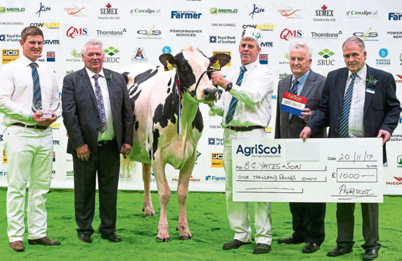 The annual AgriScot exhibition held at Ingliston, Edinburgh

In  Pic.......... Winning the Super Heifer Championship, Logan Estate Jazz,