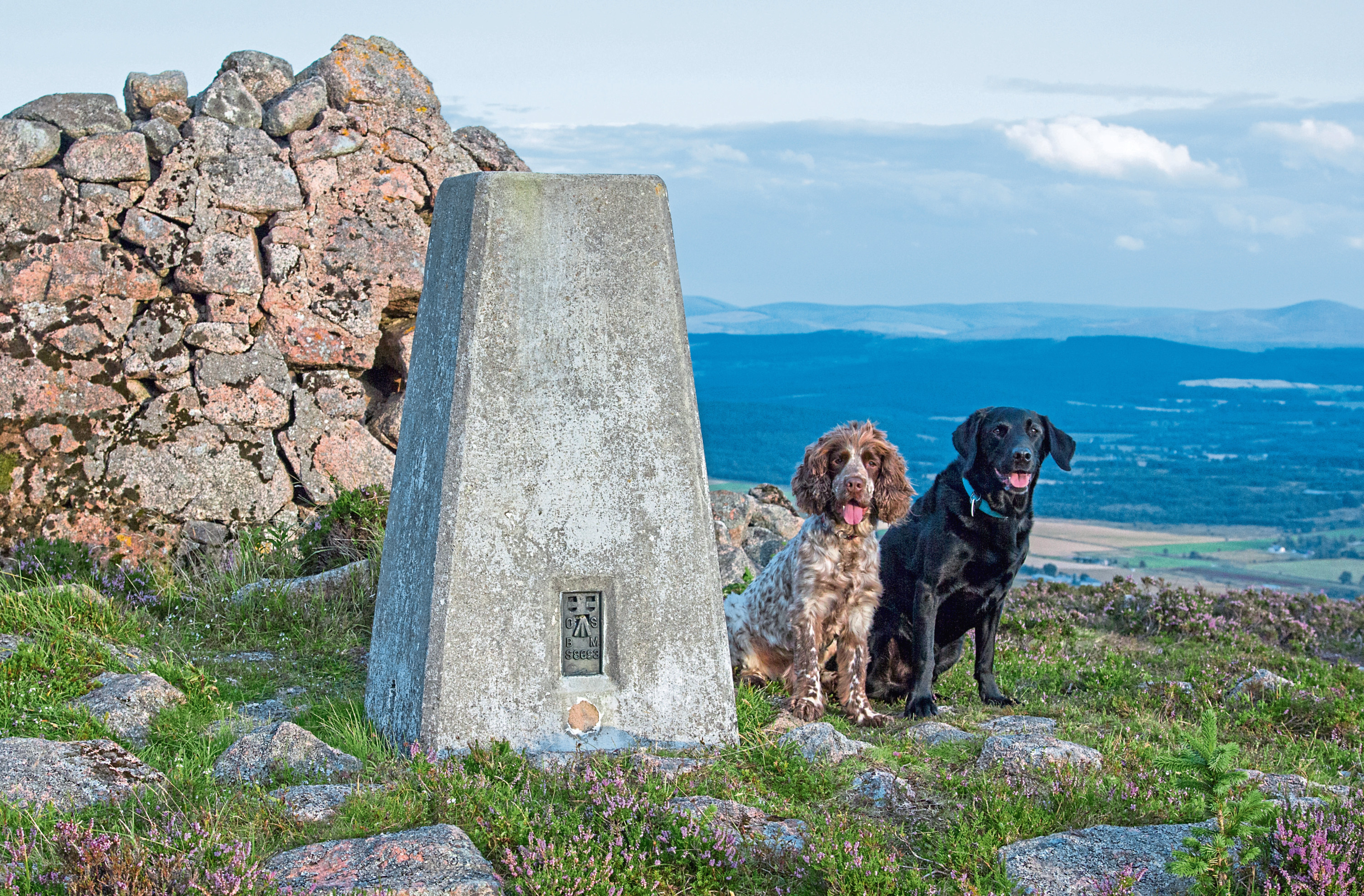 Gerry (black labrador) and Bob at the top of Craiglich.