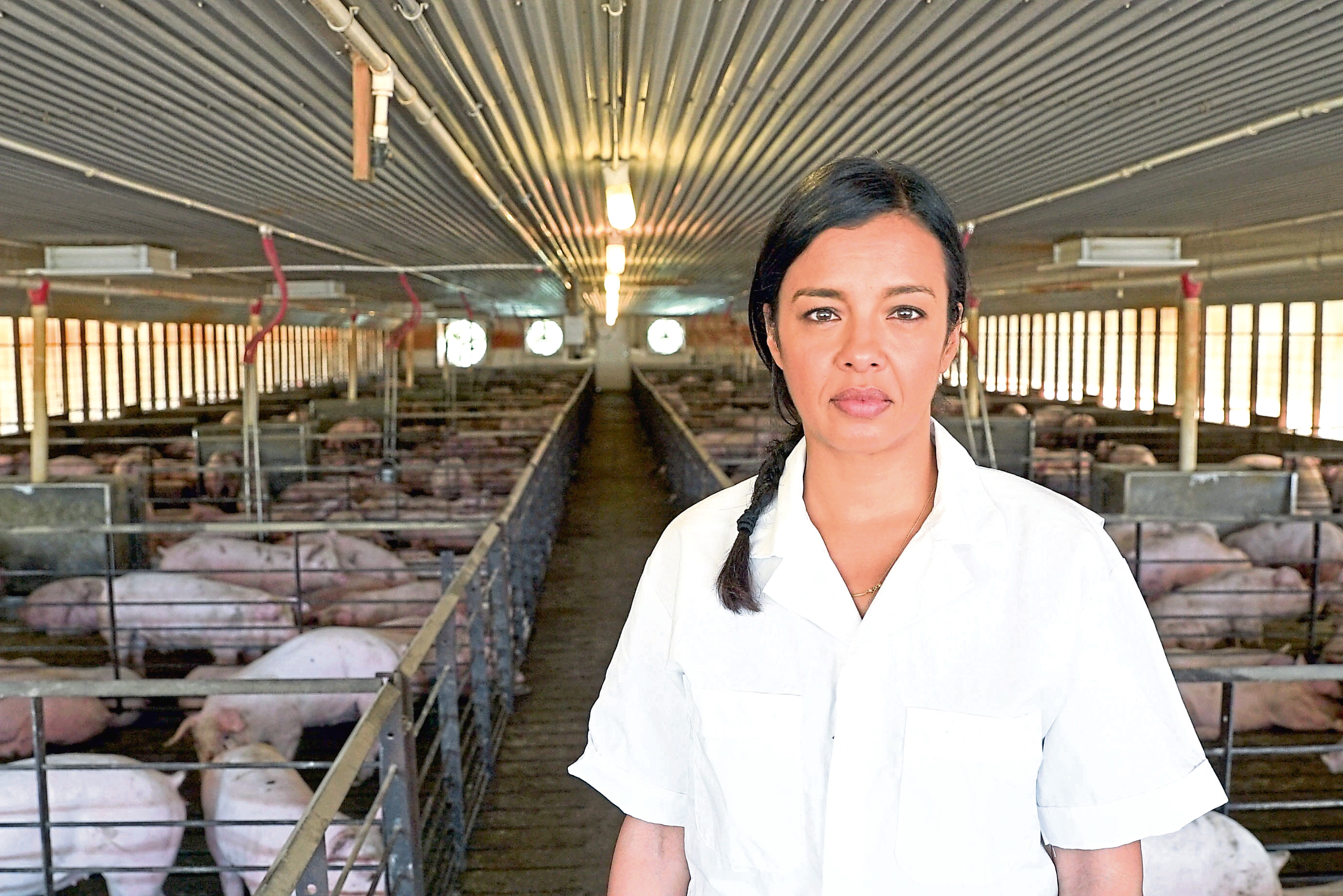 HOST: Presenter Liz Bonnin pictured in an intensive pig shed on a US farm in Meat: A Threat To Our Planet?