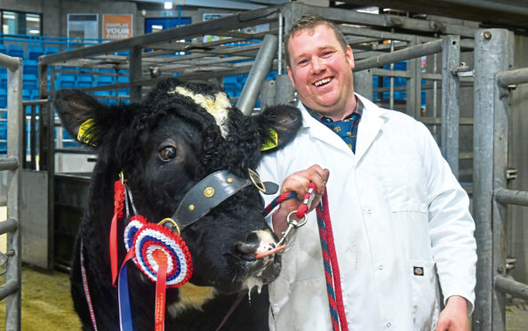 Garry Patterson with the overall bull champion.