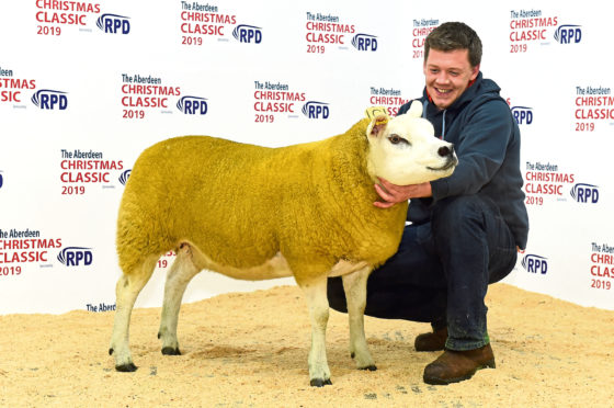 Richard Reynold with Kenny Pratt's 4,500gn Texel gimmer.